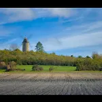 아파트 Du Moulin De Montizeau *