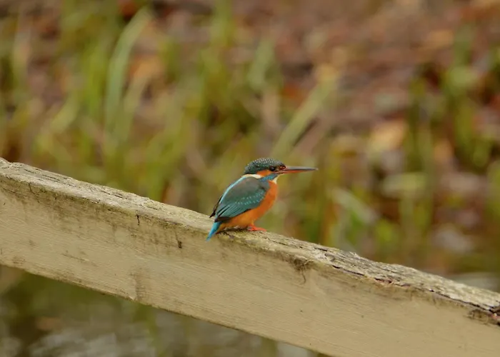Apartamento Du Moulin De Montizeau Saint-Maigrin