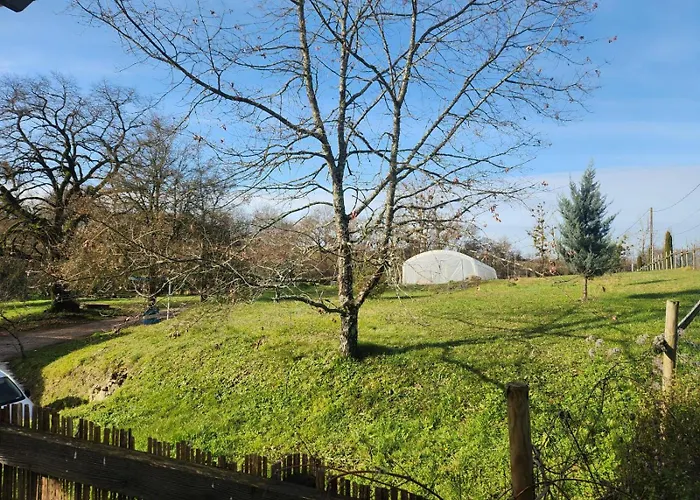 Du Moulin De Montizeau Apartamento