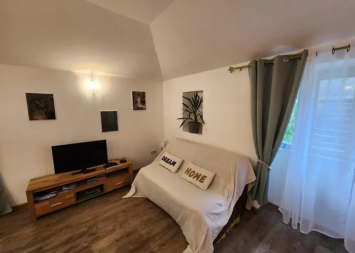 Apartamento Du Moulin De Montizeau Saint-Maigrin